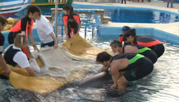 Repórteres da Terra – Parte II