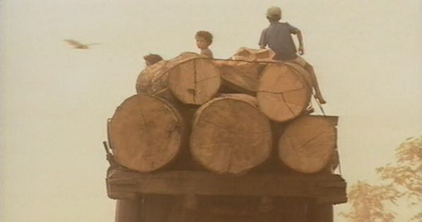 Repórteres da Terra – Parte II