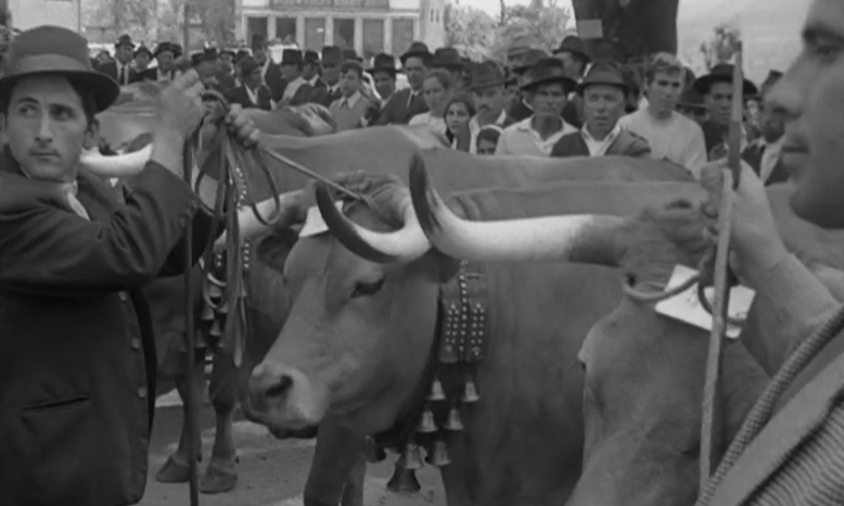 Festas de Junho em Amarante