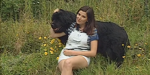 Companhia dos Animais – Parte II