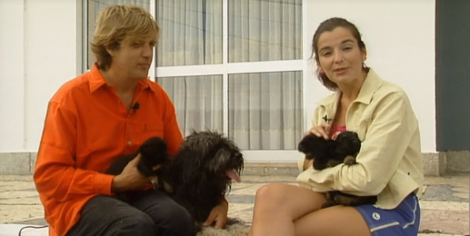 Companhia dos Animais – Parte I