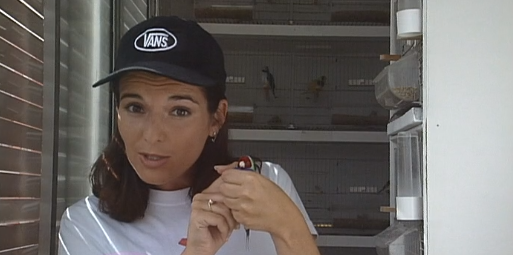 Companhia dos Animais – Parte I