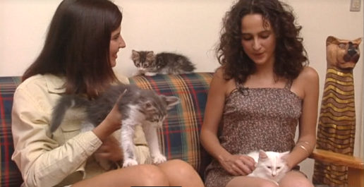 Companhia dos Animais – Parte I