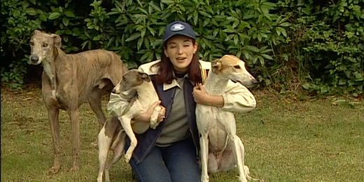 Companhia dos Animais – Parte I