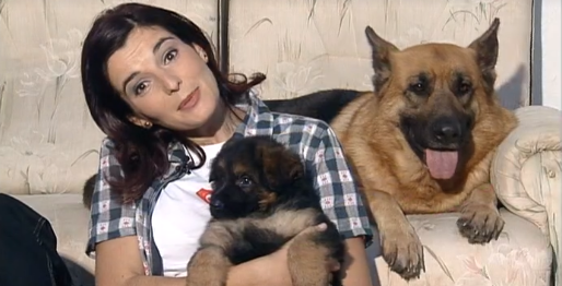 Companhia dos Animais – Parte I