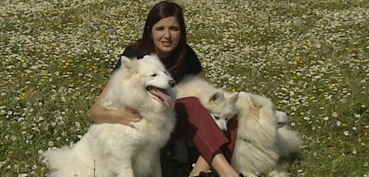 Companhia dos Animais – Parte I