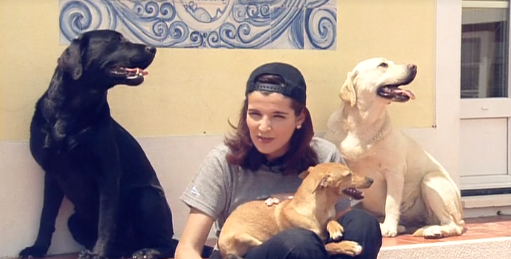 Companhia dos Animais – Parte II