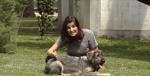 Companhia dos Animais – Parte I