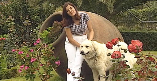 Companhia dos Animais – Parte II