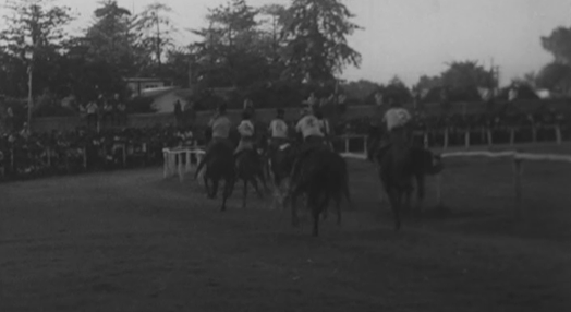 Hipismo: Corrida de cavalos em Timor