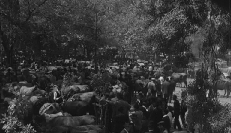 Feira de São Bartolomeu