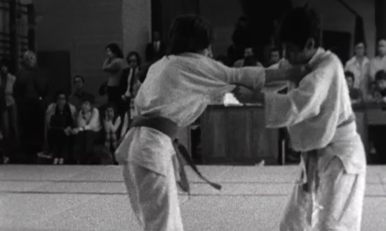 Judo: Prática da modalidade em Portugal