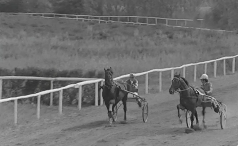 Hipismo: Provas no Centro Hípico de Vilamoura