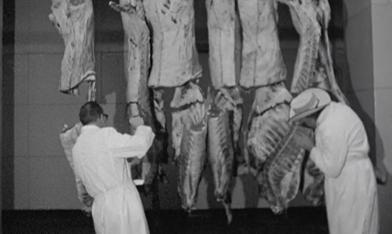 Demonstração de técnicas de corte de carne em Lisboa