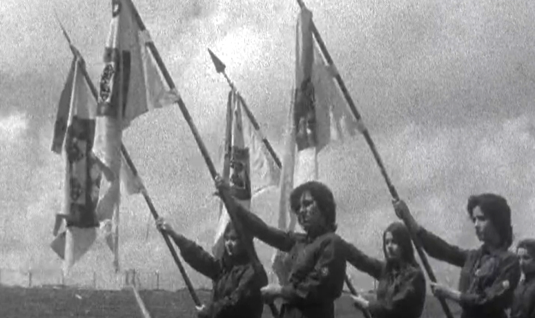 Ginástica: Festival da Juventude na Póvoa de Varzim