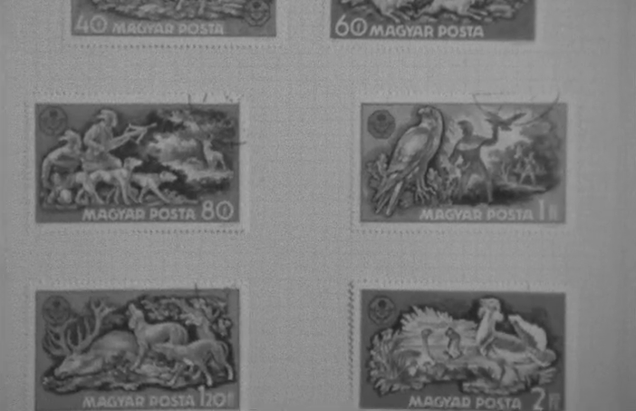 Início das Festas Gualterianas em Guimarães