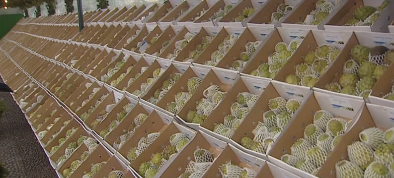 Festa da Anona na Madeira