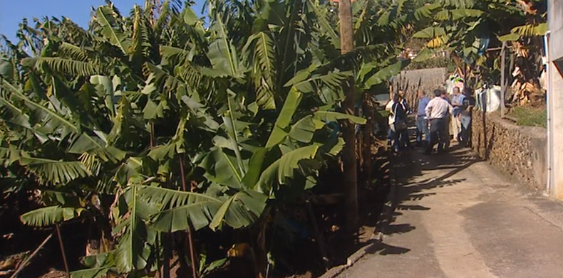 Protesto dos bananicultores na Madeira