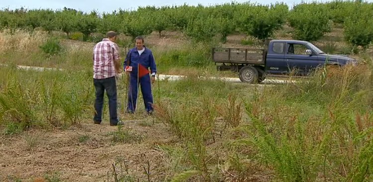 Há Petróleo em Beirais – Episódio 142