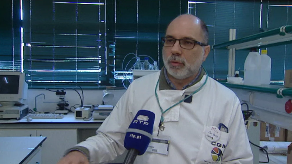 Investigação transnacional no Centro de Química da Madeira