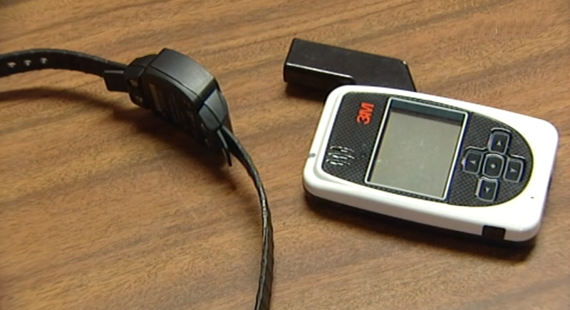 Pulseiras eletrónicas em São Miguel