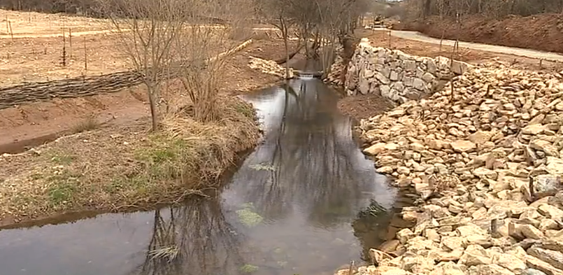 Ribeira do Juncal serve de laboratório de rios