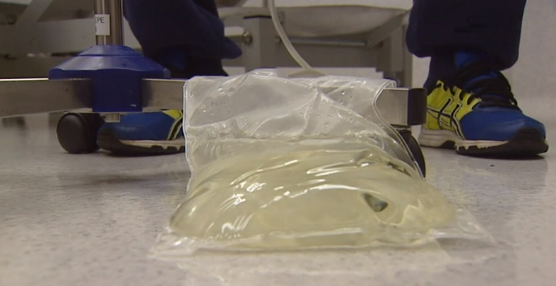 Ilha da Madeira assinala Dia Mundial do Rim