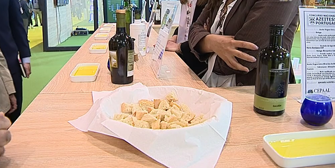 55ª Feira Nacional de Agricultura de Santarém