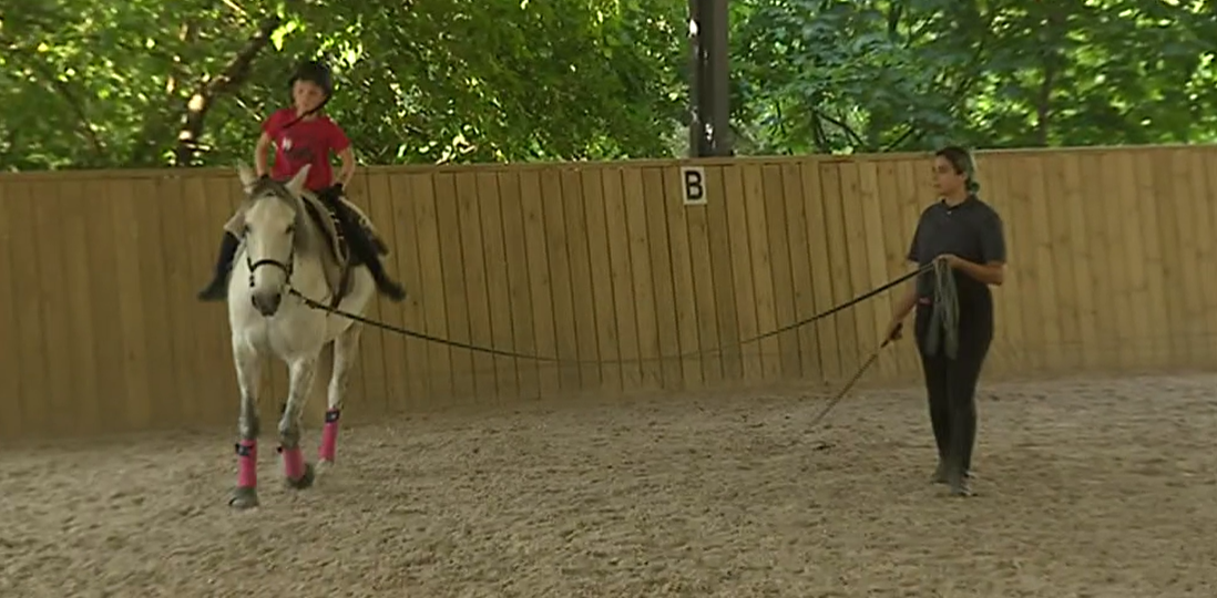 Equitação para todos