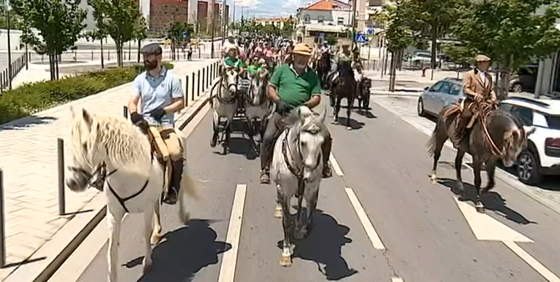 Passeio a cavalo em Castelo Branco