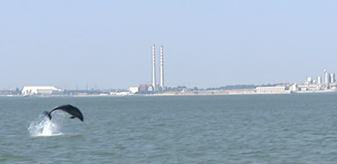 Centro Interpretativo do Roaz