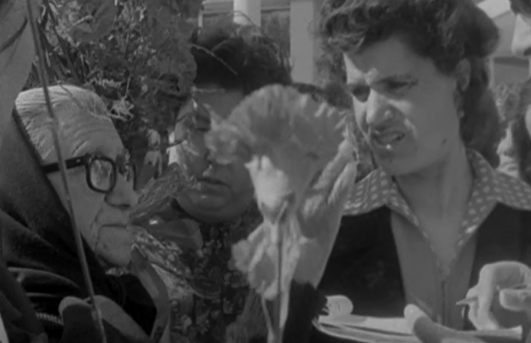 Problemas das empresas leiteiras no Porto