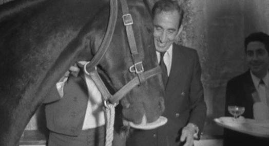 Homenagem a José Samuel Lupi