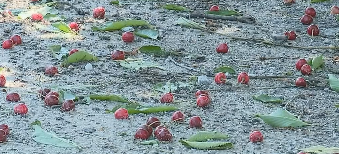 Mau tempo no distrito de Vila Real