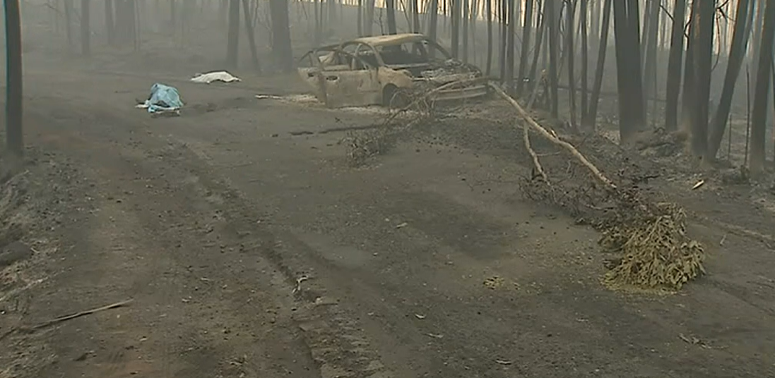 Incêndio em Pedrógão Grande