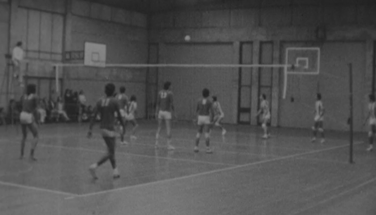 Voleibol: CDUP vs Leixões