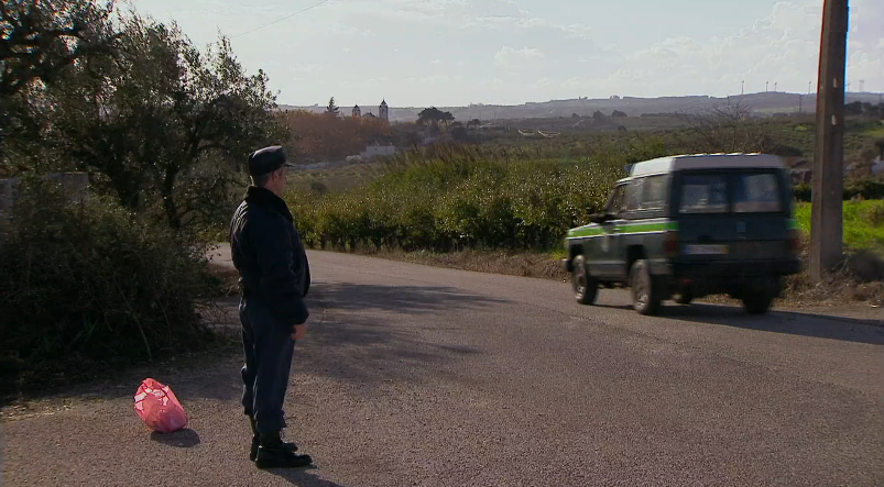 Zona Livre de Porcos Industriais – Episódio 100