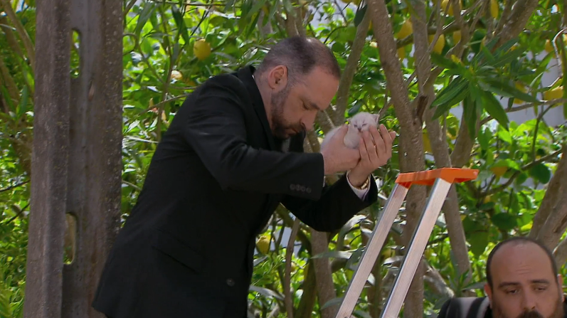 Ve-Ve-Vêm aí os Bom-Bom-Bombeiros – Episódio 245