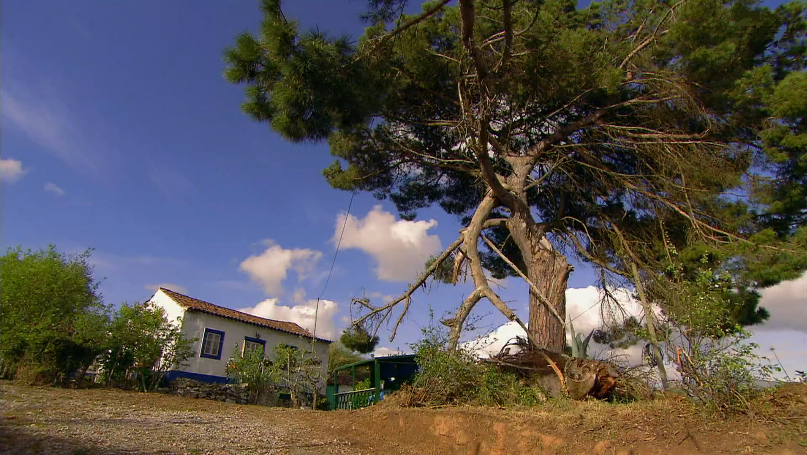 Mentira Cabeluda – Episódio 252