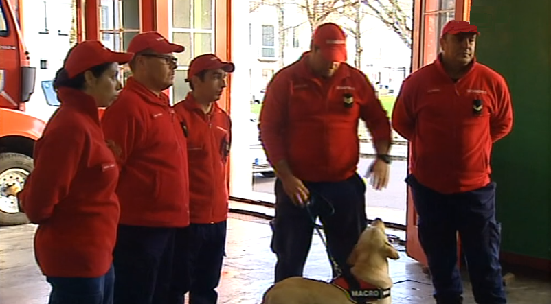 Novas valências dos Bombeiros do Faial