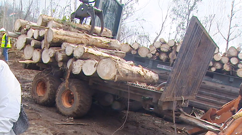 Susana Prada visita limpeza de terrenos no Monte