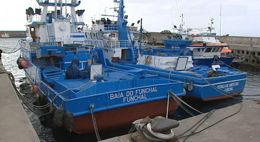 Queixas dos pescadores do Caniçal