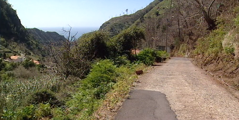Obras rodoviárias na Ribeira Brava