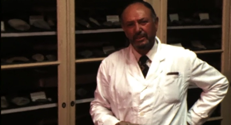 Aspetos da  Vida Económica