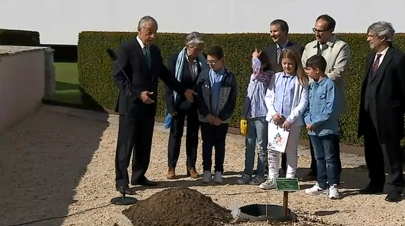 Freixo Duarte d’Armas plantado em Belém