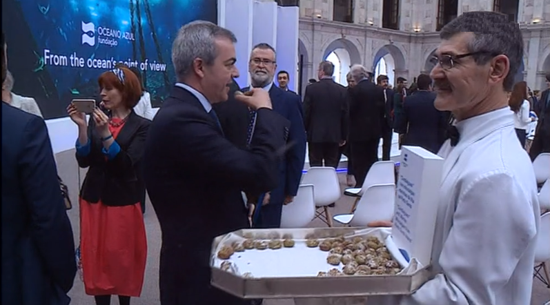 Microalgas do Porto Santo na “Oceano Azul”