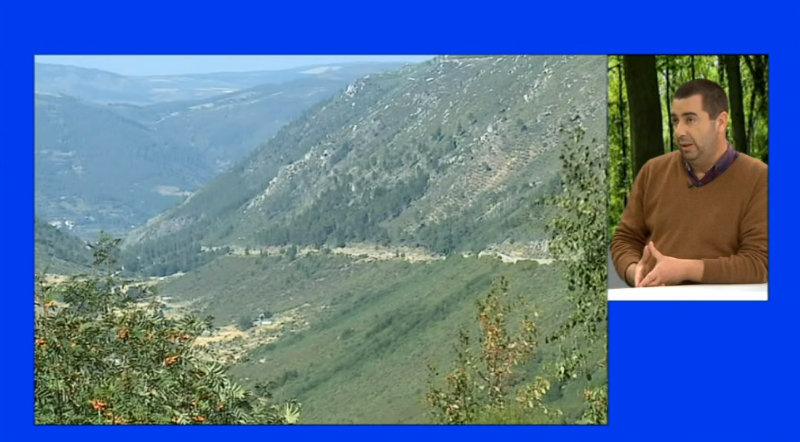 Entrevista a João Branco