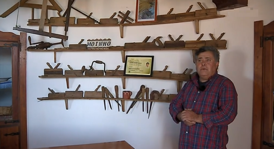 Trigo Barbela na Azambuja II