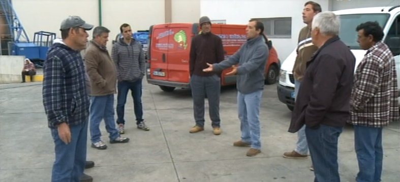 Compradores de peixe revoltados