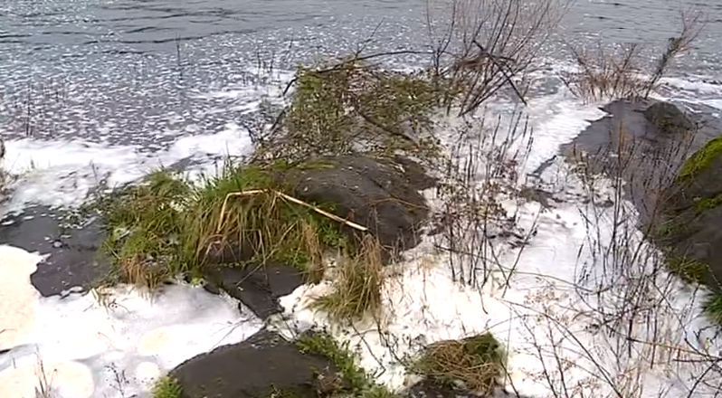 Poluição no Rio Tejo